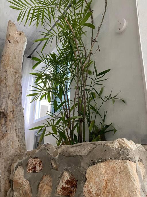 Forever Beach Apartment Sheerness Εξωτερικό φωτογραφία